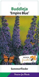 Buddleja d. 'Empire Blue' geen maat specificatie cont. 3,0L - afbeelding 3