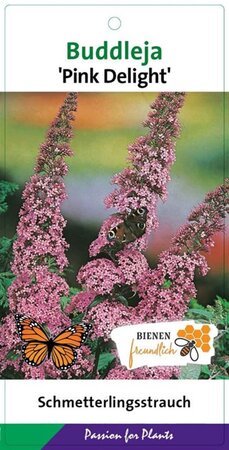 Buddleja d. 'Pink Delight' geen maat specificatie cont. 3,0L - image 7