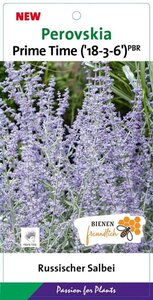 Perovskia atripl. 'Prime Time' geen maat specificatie cont. 3,0L