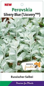Perovskia atripl. Silvery Blue geen maat specificatie cont. 3,0L