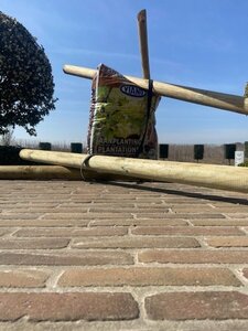 Boompakket groot - hoogstam bomen 20-25/30-35 -