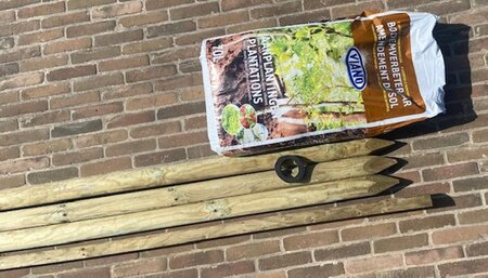 Boompakket groot - hoogstam bomen 20-25/30-35 - - image 2