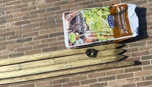 Boompakket groot - hoogstam bomen 20-25/30-35 - - image 2