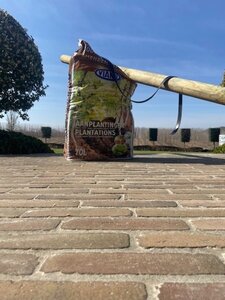 Boompakket klein - hoogstam bomen 6-8/10-12 -