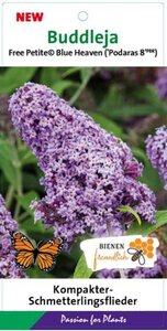 Buddleja Free Petite Blue Heaven geen maat specificatie cont. 3,0L