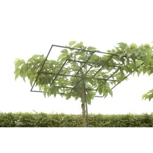 Dakvorm vierkant,165 cm -