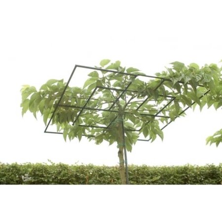 Dakvorm vierkant,200 cm -