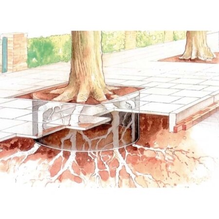 Deeprootplaten light  60x45 -