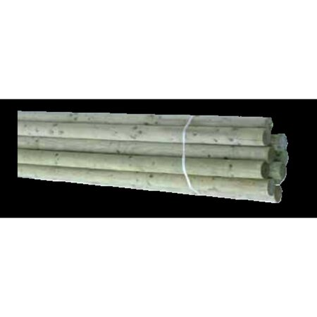 Palen gefreesd,600 cm dia 12 ongepunt -