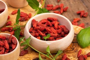 Lycium barbarum 150-175 cm WRB bushes - image 1