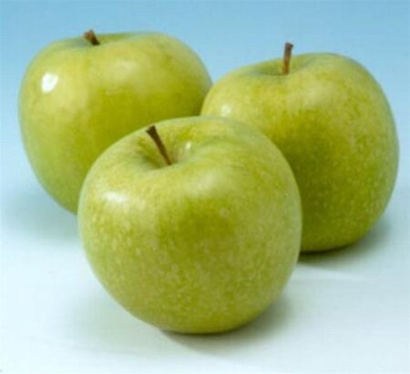 Malus d. 'Granny Smith' 8-10 Hoogstam wortelgoed - afbeelding 4