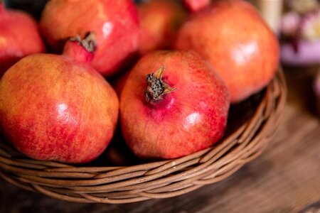Punica granatum 14-16 Hoogstam cont. 50L - afbeelding 2