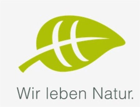 Viburnum lantana 80-100 cm cont. 7,5L - afbeelding 1