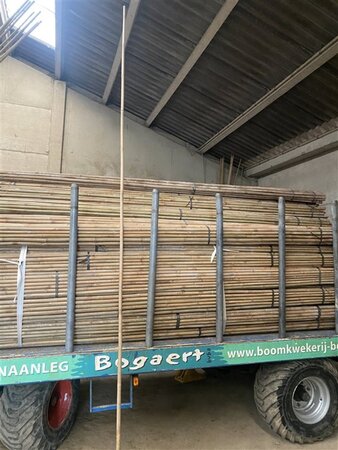 Bamboe L420 dia 28/30 - - afbeelding 2