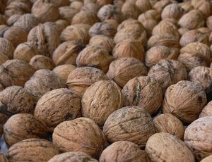 Juglans r. 'Broadview' dubbele U met rek wortelgoed - afbeelding 7