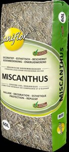 Miscanthus 10/30 60L -