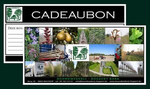 CADEAUBON 100 euro -